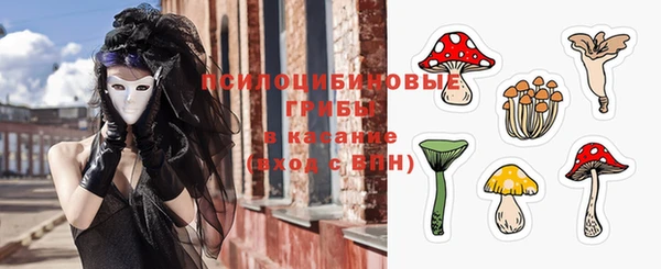 кокс Абаза
