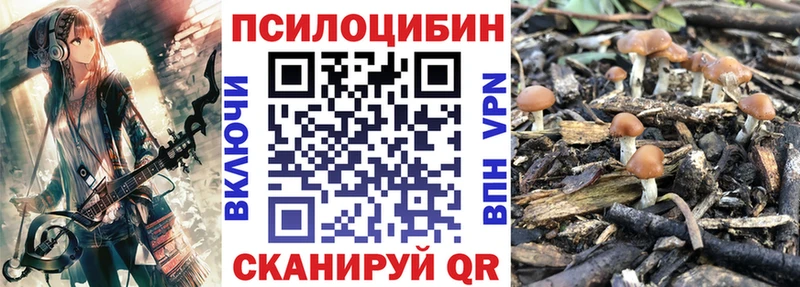 Галлюциногенные грибы ЛСД  закладка  Аксай 